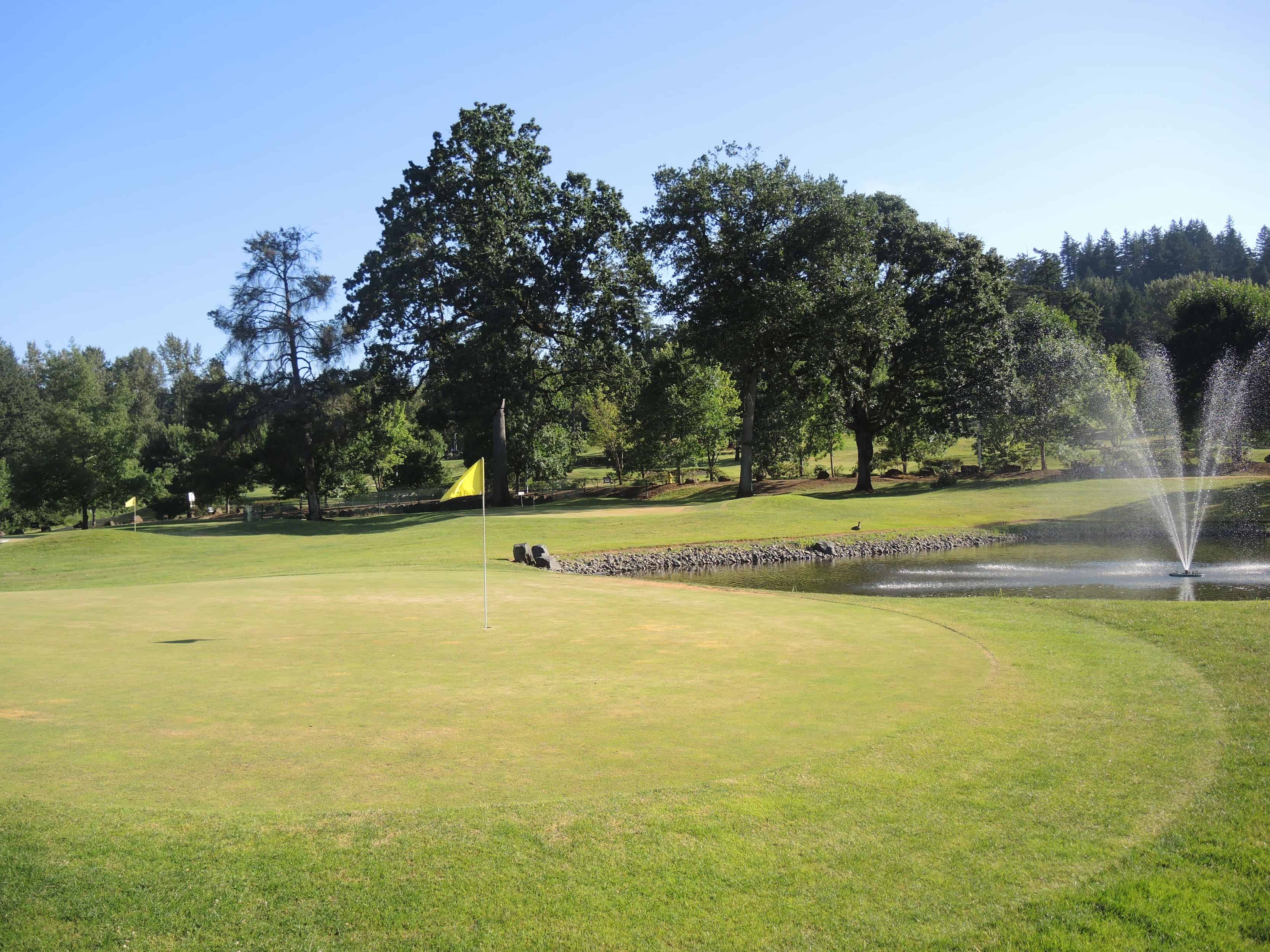 Looking back from behind the 18th green
